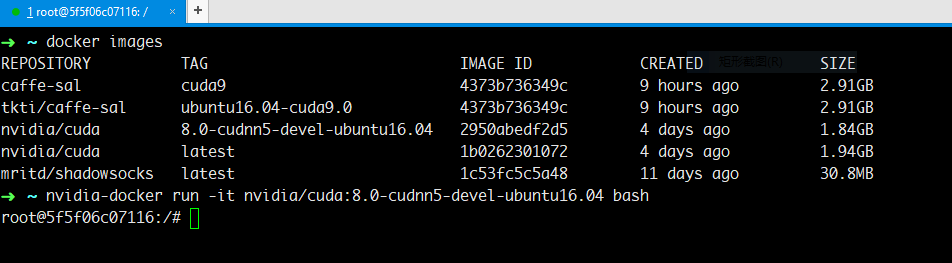 8.0-cudnn5-devel-ubuntu16.04