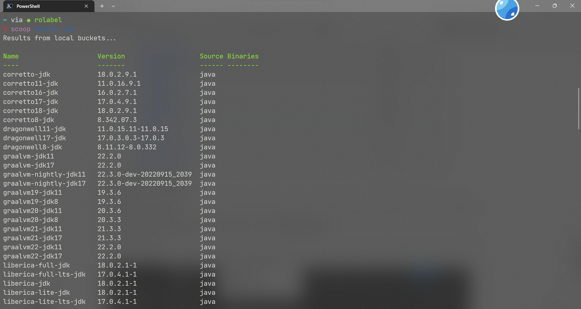 SCOOP Windows Package Management Tool Cypress