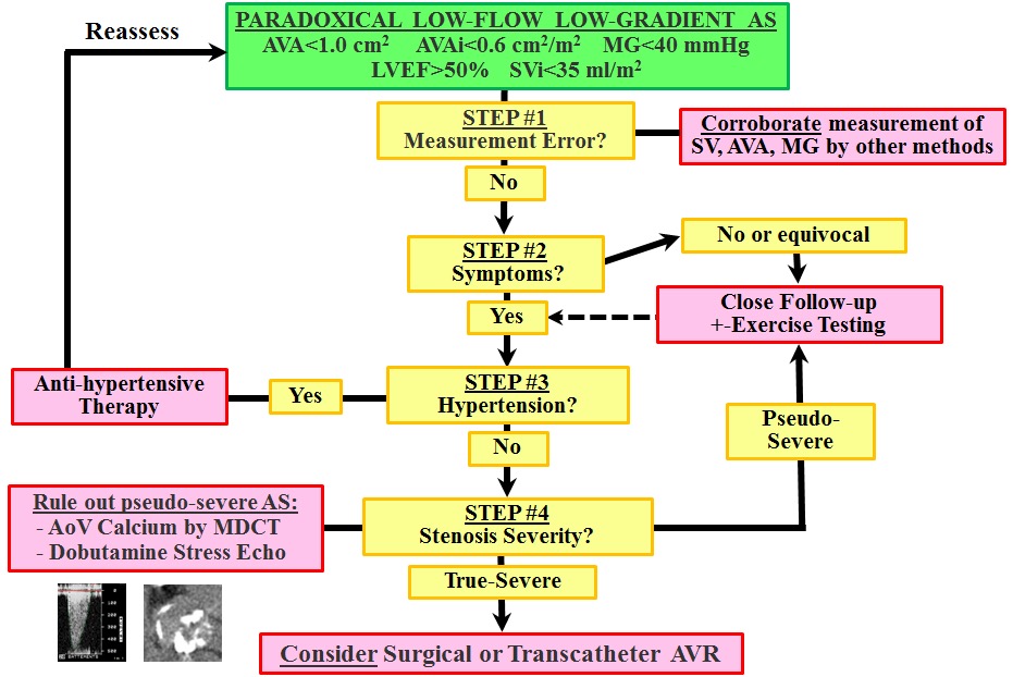 Algorithm for the Assessment of Stenosis Severity and the Management of Paradoxical (preserved LVEF) LF-LG AS