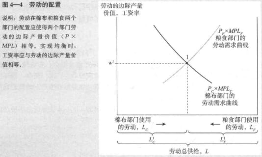 国际经济学理论-劳动的配置.jpg