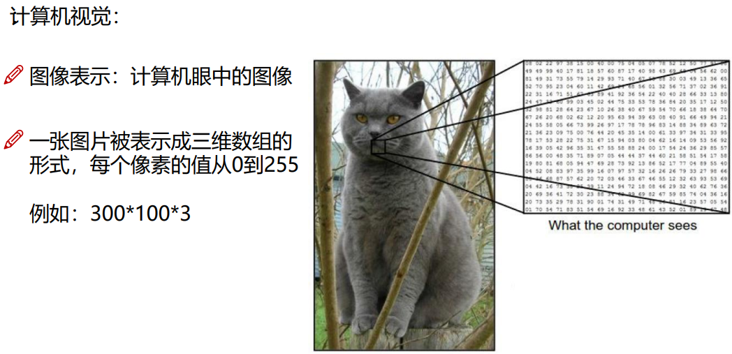 image-20220705154056464