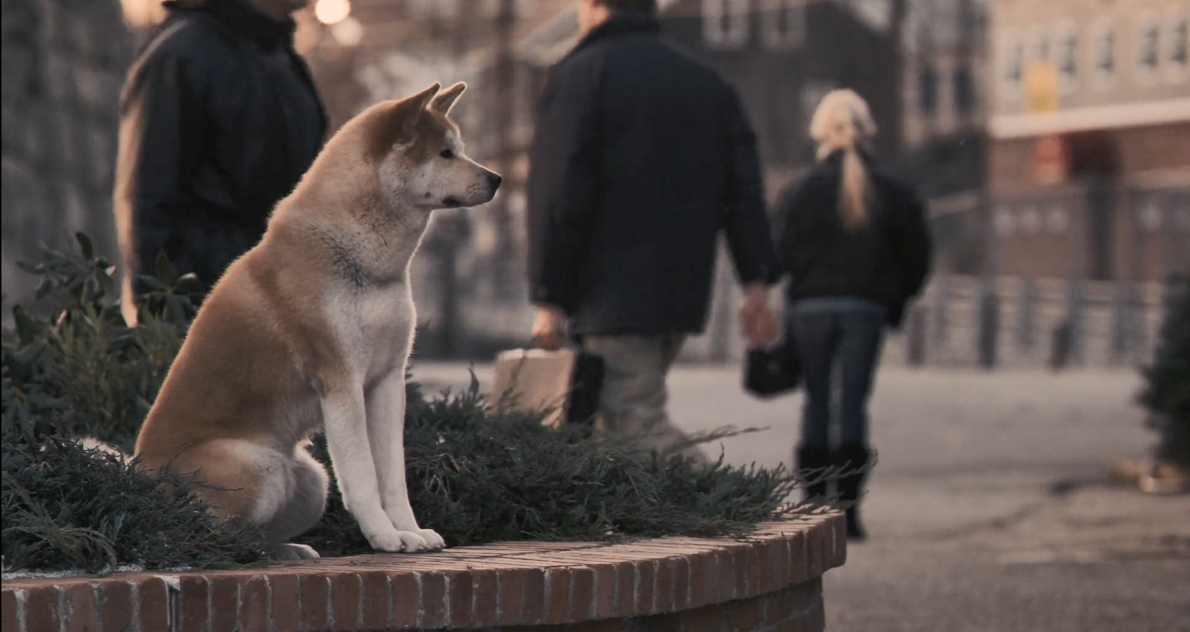 忠犬八公的故事