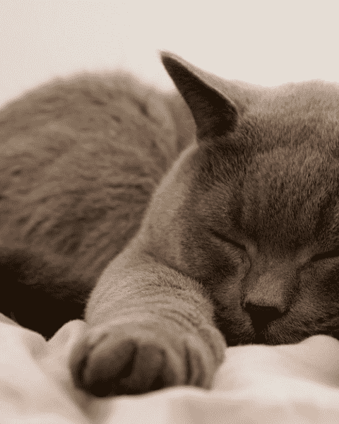 碎碎念，滴滴记。 封面