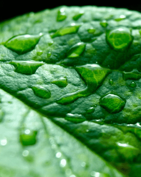 您欲善其事，必先看说明。 封面