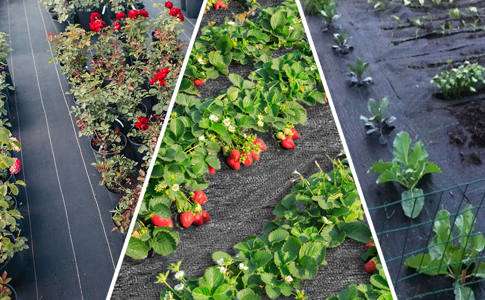 Toile De Paillage Couverture De Sol 2m X 5m, Contre Mauvaises Herbes De Jardin, Bâche Perméable Protection UV Haute Densité 12 Toile De Paillage Couverture De Sol 2m X 5m, Contre Mauvaises Herbes De Jardin, Bâche Perméable Protection UV Haute Densité -Jardin Doux Soldes Magasin AAHKMJXYDAFdJAOAIMEbOAchCgvLIw0Qi3Xh6ZcLz5fRxDrfuan9 z7YNoWaZmC1LopzXRmZQFuvc hjEd tCTAazzMVGo1wGBF2m2EwbNph1A==