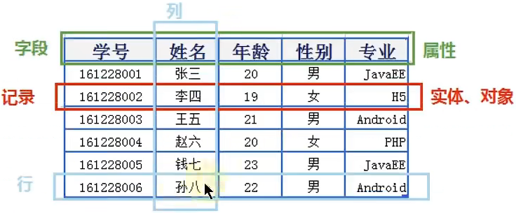 image-20221208105311641