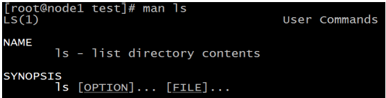 image-20230109133324255