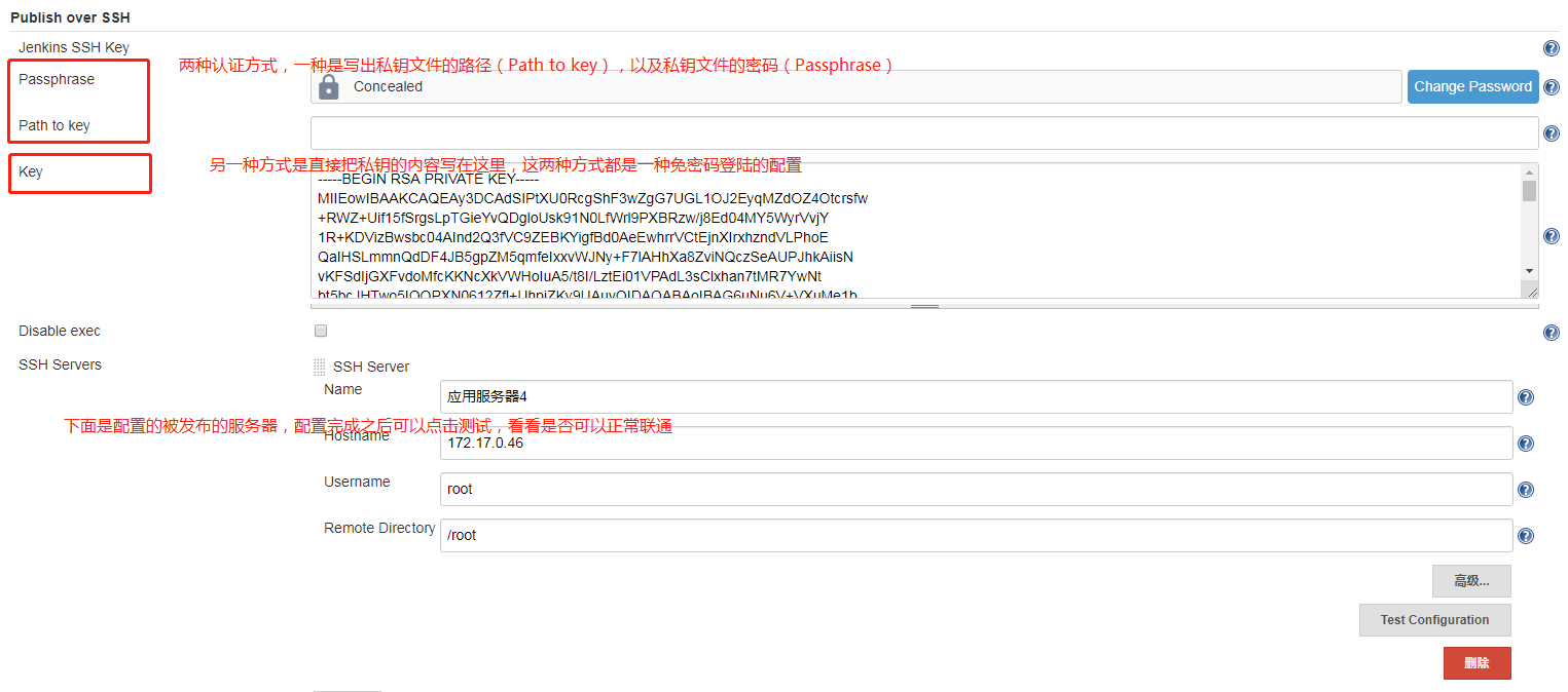 配置 **Publish over SSH** 