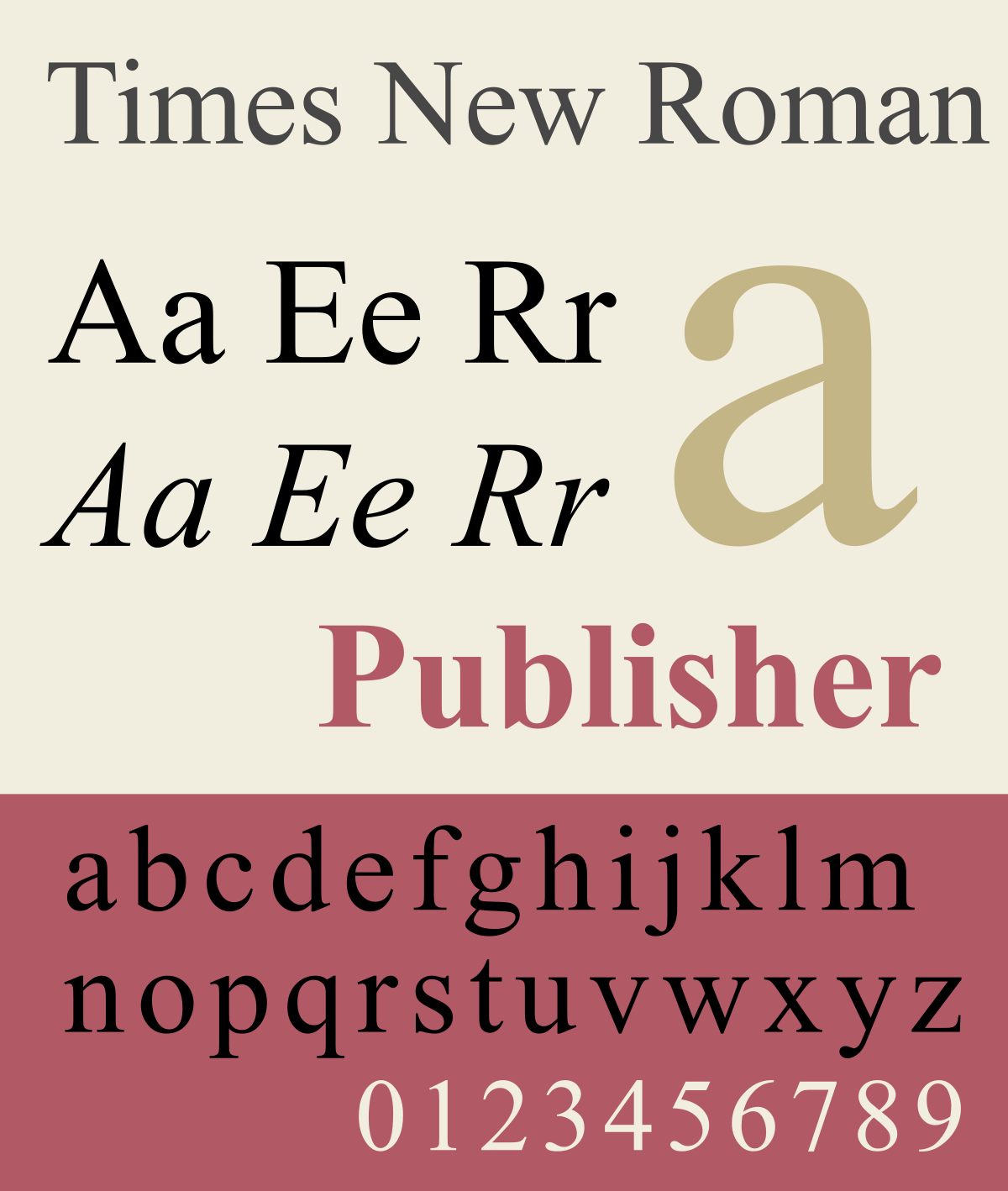 美国国务院淘汰 Times New Roman 字体