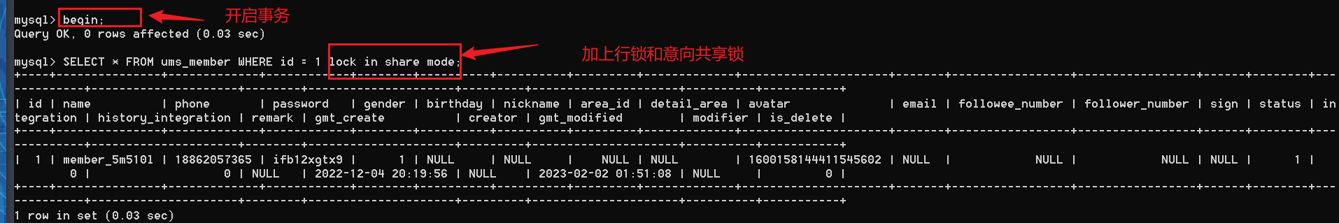 image-20230202212240302