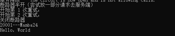 .Net6 微服务之Polly入门看这篇就够了-小白菜博客