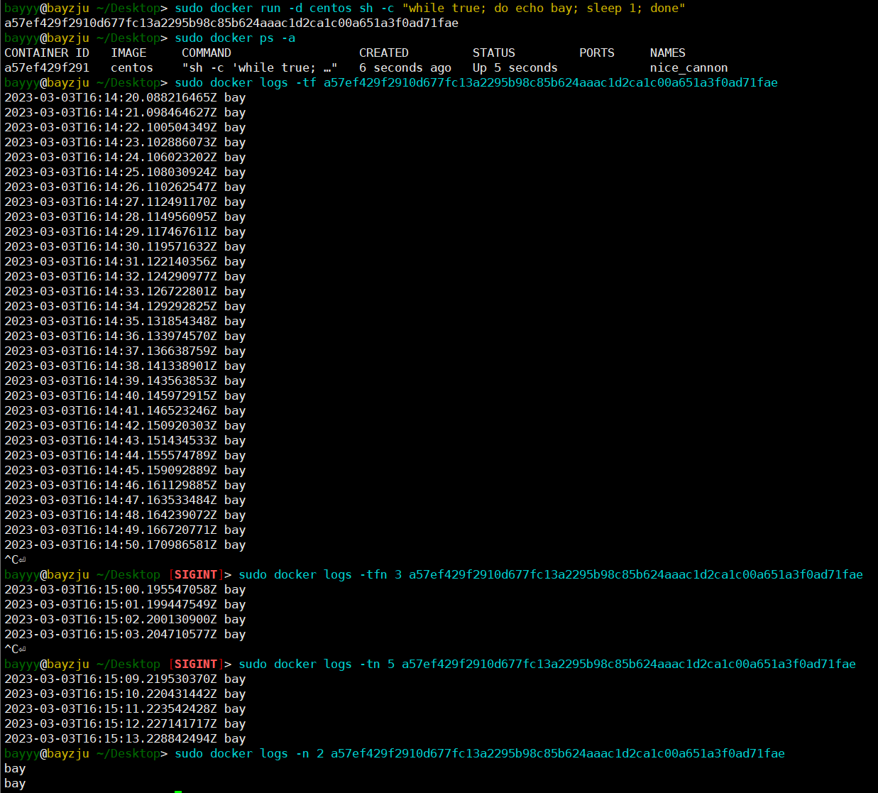 image-20230304001535631