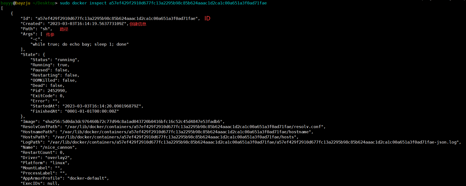 image-20230304002345333