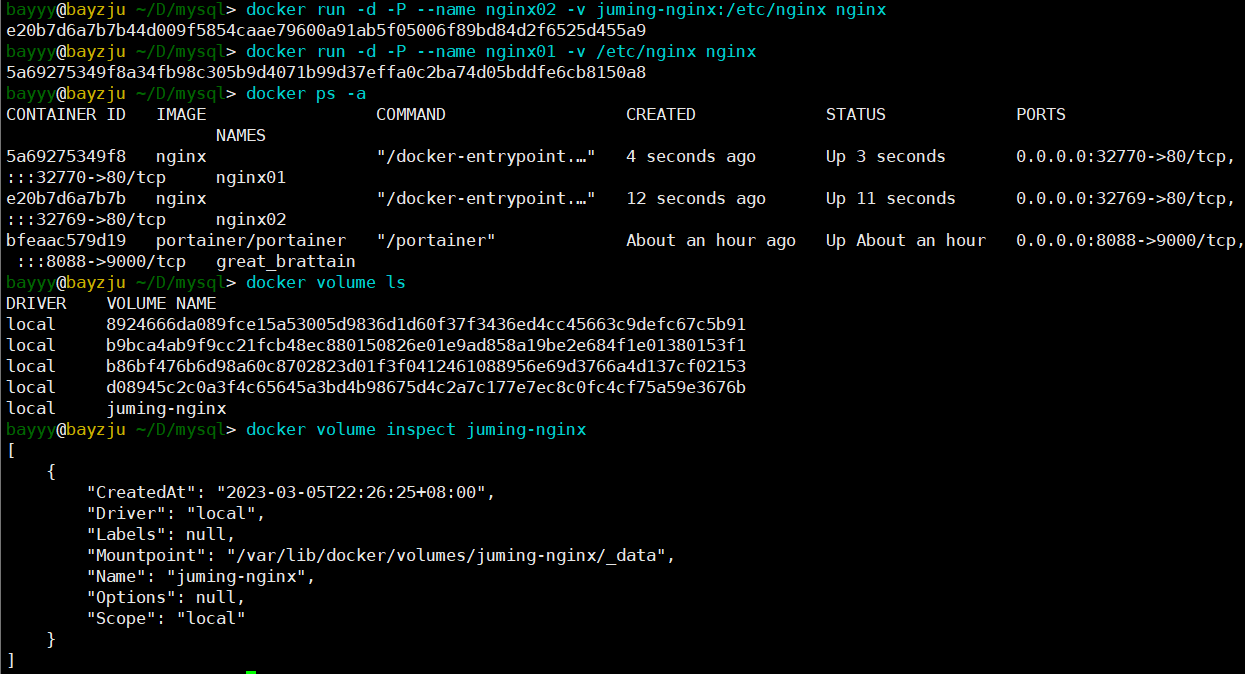 image-20230305222830185