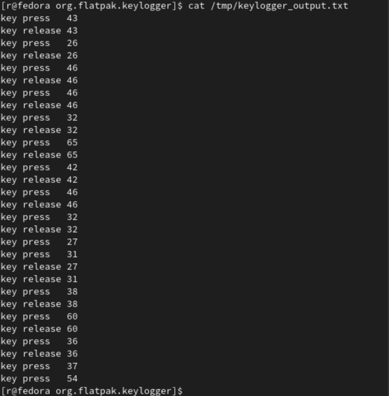 💻 Flatpak Development X11 Keylogger