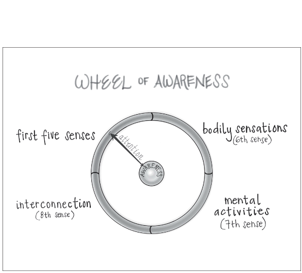 20230412_wheel_of_awareness.png