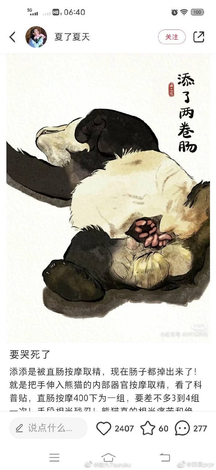 熊猫“添添”的直肠是这样的吗？