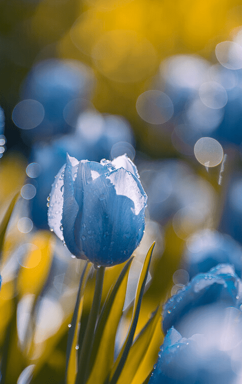 Emoji表情大全 封面