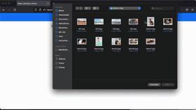 Background Remover,开源利用ai快速移除图像和视频背景