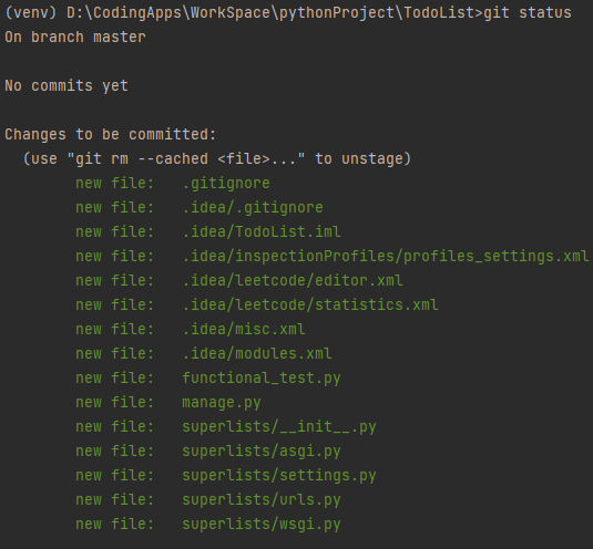 多余的 .idea/ 目录