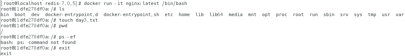 image-20230515205623267