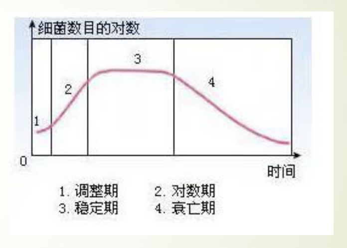 酵母菌生长模型