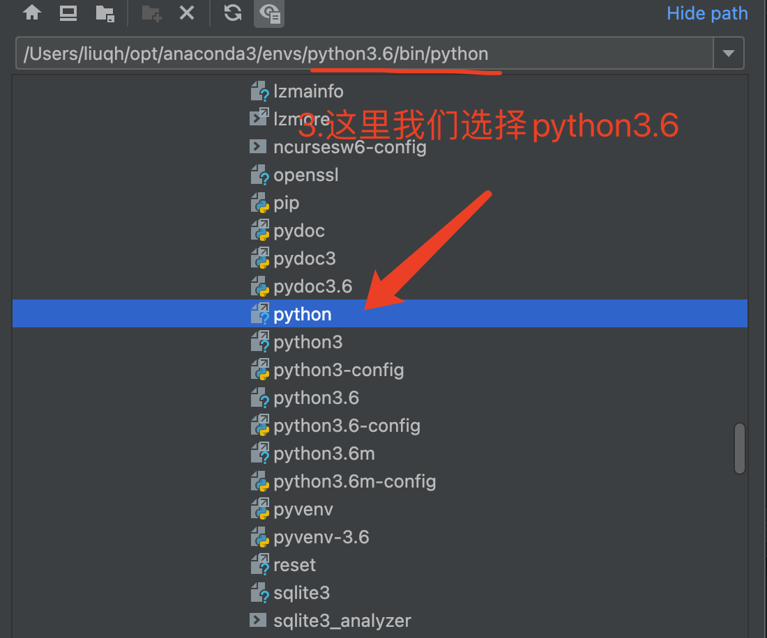 image-20230531101706083