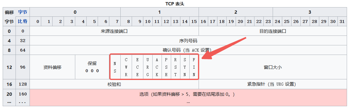 TCP表头