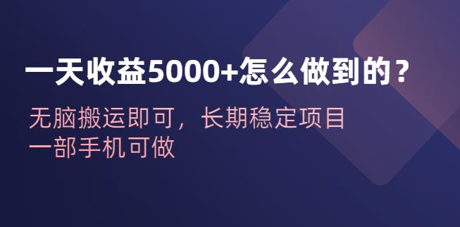 一天收益5000+怎么做到的？无脑搬运即可，长期稳定项目，一部手机可做【揭秘】一点库资源-致力于各大收费VIP教程和网赚项目分享一点库资源