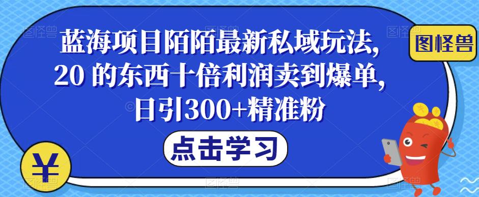 蓝海项目陌陌最新私域玩法，20 的东西十倍利润卖到爆单，日引300+精准粉【揭秘】一点库资源-致力于各大收费VIP教程和网赚项目分享一点库资源