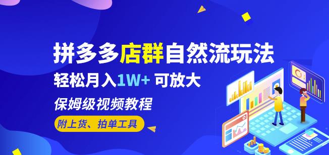 拼多多店群自然流玩法，轻松月入1W+保姆级视频教程（附上货、拍单工具）一点库资源-致力于各大收费VIP教程和网赚项目分享一点库资源