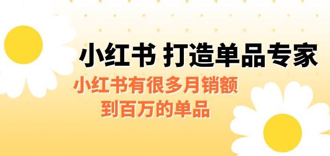 某公众号付费文章《小红书打造单品专家》小红书有很多月销额到百万的单品一点库资源-致力于各大收费VIP教程和网赚项目分享一点库资源