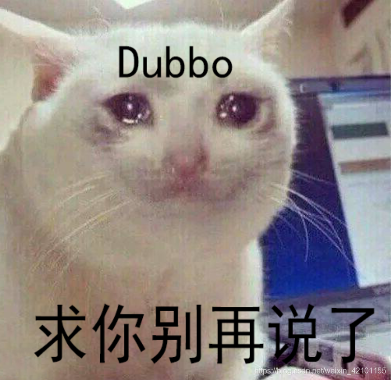 Dubbo 流泪