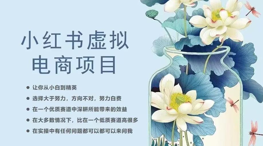 小红书虚拟电商从0到1，让你从小白到精英（20节实操课程）第一学习库-致力于各大收费VIP教程和网赚项目分享第一学习库