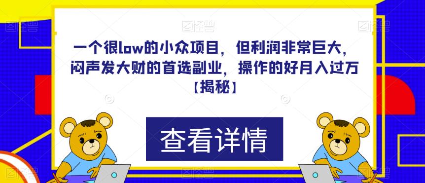 一个很low的小众项目，但利润非常巨大，闷声发大财的首选副业，操作的好月入过万【揭秘】第一学习库-致力于各大收费VIP教程和网赚项目分享第一学习库