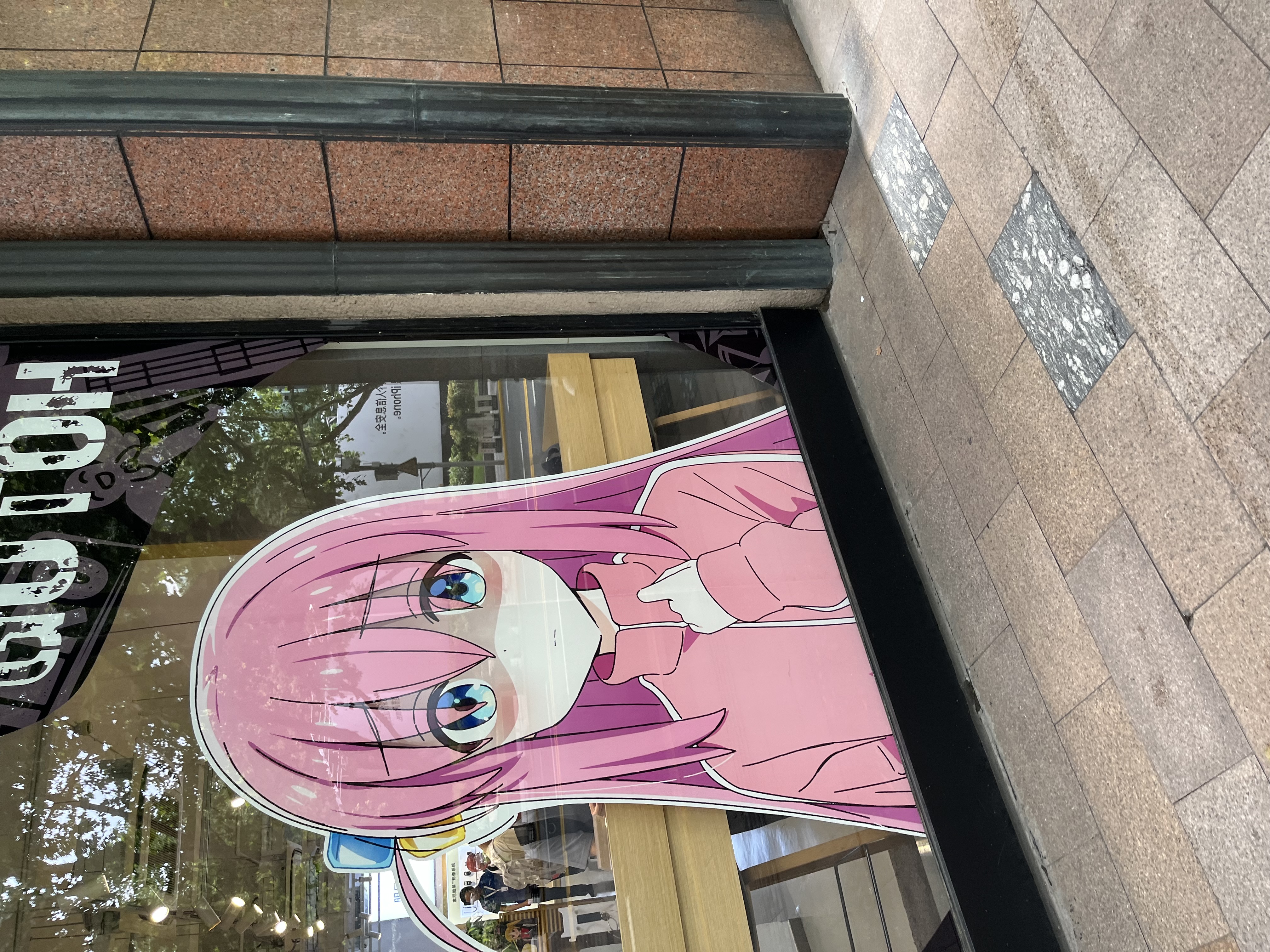 IMG_8673.jpeg