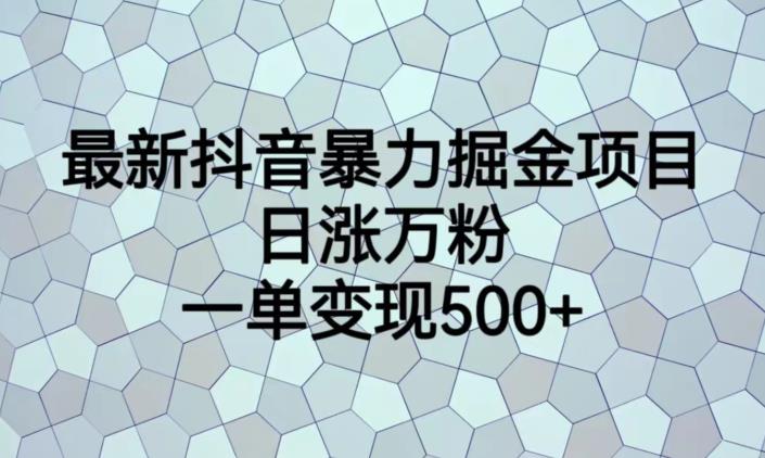 最新抖音暴力掘金项目，日涨万粉，一单变现500+【揭秘】第一学习库-致力于各大收费VIP教程和网赚项目分享第一学习库