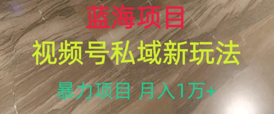 蓝海项目，视频号私域新玩法，暴力项目月入1万+【揭秘】第一学习库-致力于各大收费VIP教程和网赚项目分享第一学习库