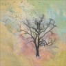 thetreeographer.com