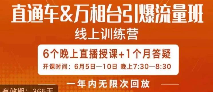 直通车&万相台引爆流量班，6天打通你开直通车·万相台的任督二脉第一学习库-致力于各大收费VIP教程和网赚项目分享第一学习库