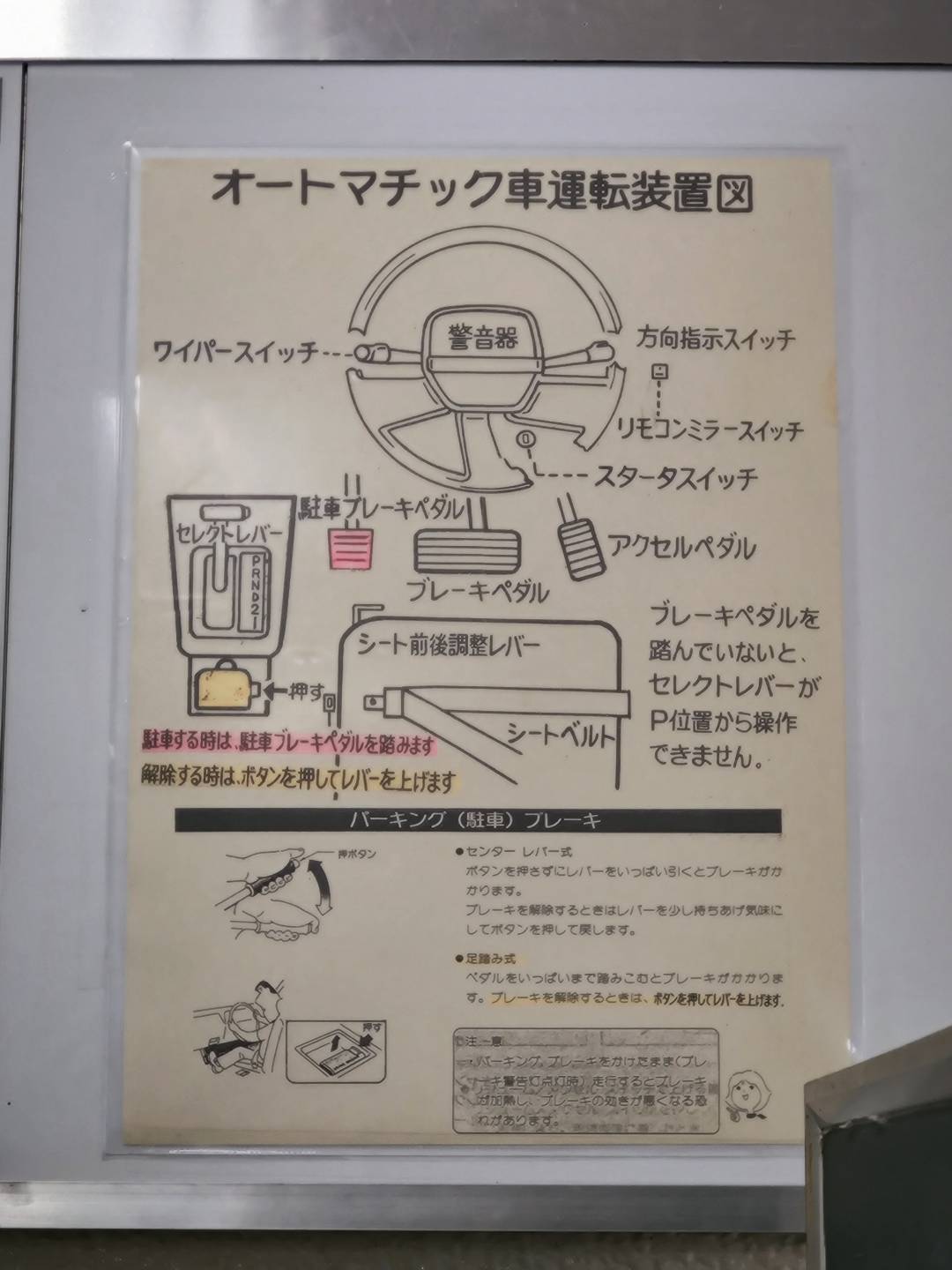 拍摄于光明池试验场 拍摄于光明池试验场