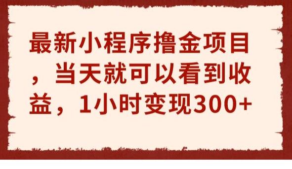 最新小程序撸金项目，当天就可以看到收益，1小时变现300+【揭秘】一点库资源-致力于各大收费VIP教程和网赚项目分享一点库资源