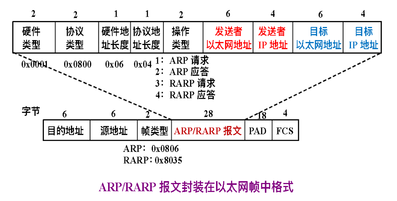 arp帧.jpg