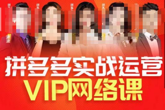 推易拼多多VIP全套直播课程，拼多多店铺实操玩法+实战玩法选款内功+直通车高阶等一点库资源-致力于各大收费VIP教程和网赚项目分享一点库资源