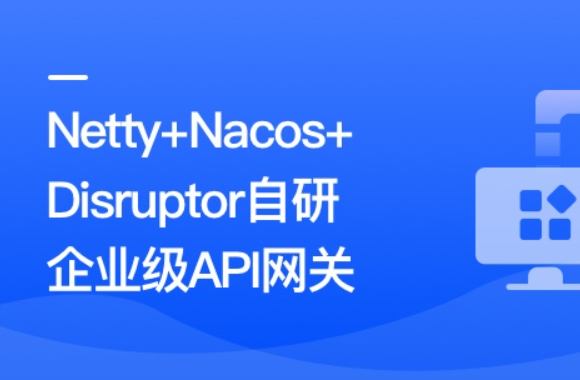 Netty+Nacos+Disruptor自研企业级API网关第一学习库-致力于各大收费VIP教程和网赚项目分享第一学习库