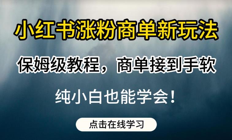 小红书涨粉商单新玩法，保姆级教程，商单接到手软，纯小白也能学会【揭秘】一点库资源-致力于各大收费VIP教程和网赚项目分享一点库资源