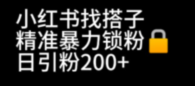 小红书找搭子暴力精准锁粉+引流日引200+精准粉一点库资源-致力于各大收费VIP教程和网赚项目分享一点库资源