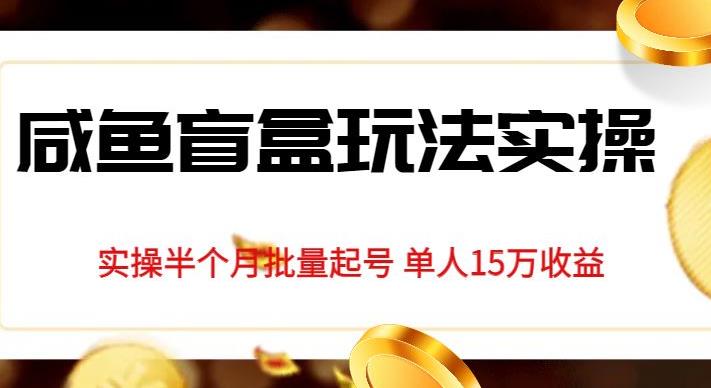 独家首发咸鱼盲盒玩法实操，半个月批量起号单人15万收益【揭秘】第一学习库-致力于各大收费VIP教程和网赚项目分享第一学习库