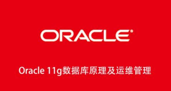 图片[1]一点库资源-致力于各大收费VIP教程和网赚项目分享Oracle 11g数据库原理及运维管理一点库资源-致力于各大收费VIP教程和网赚项目分享一点库资源